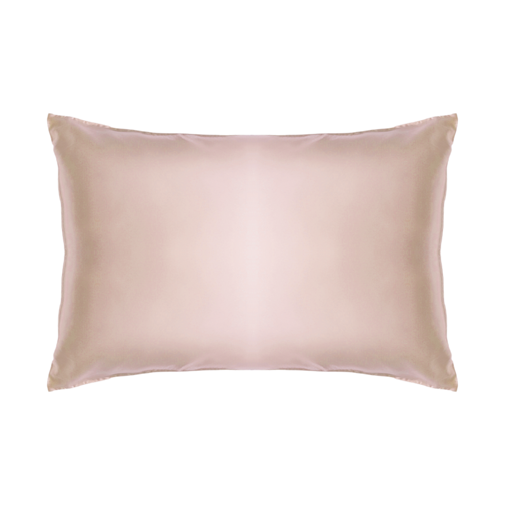 CLEARANCE SALE Silk Pillowcase - Queen (19 momme)