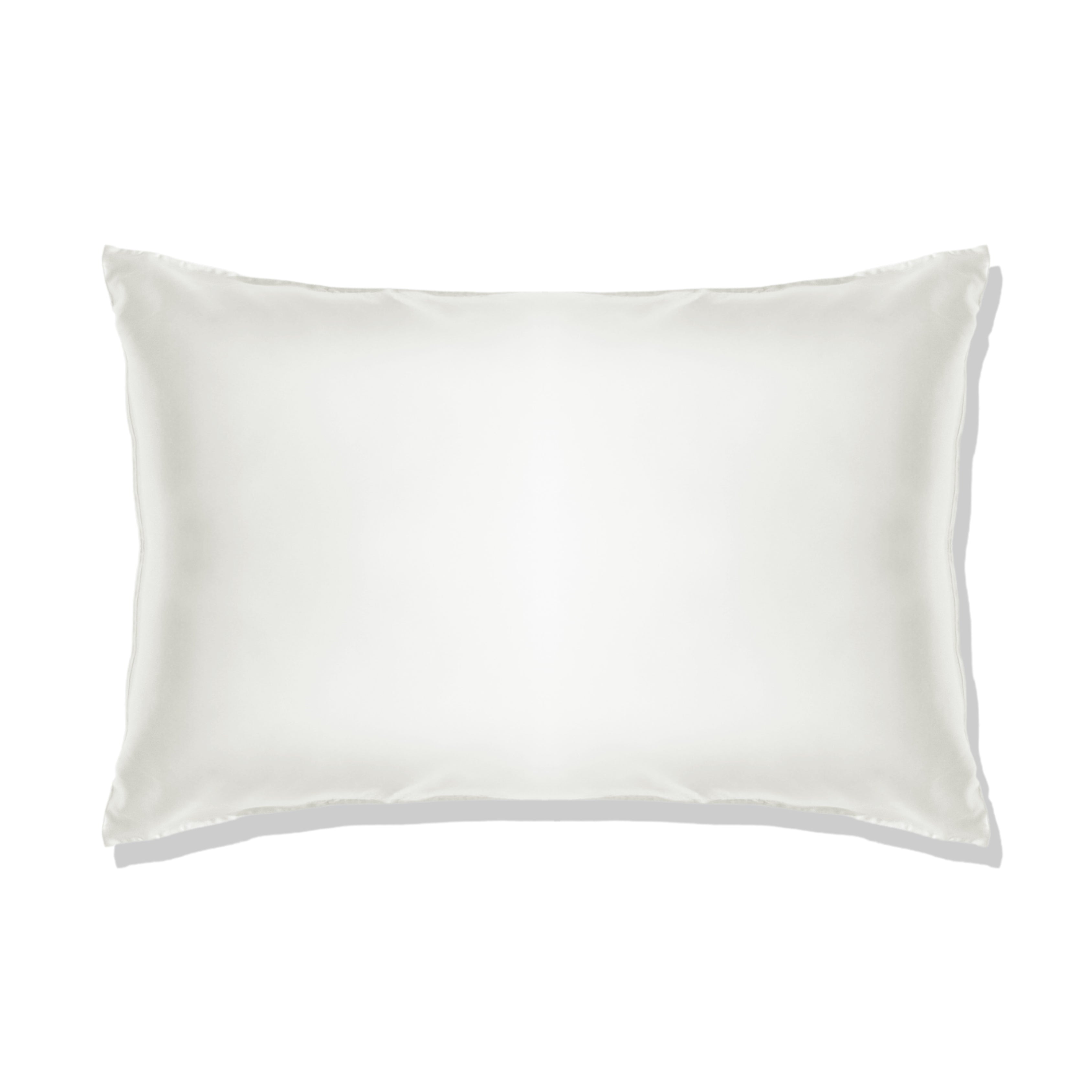 Silk Pillowcase - Queen (22 momme)